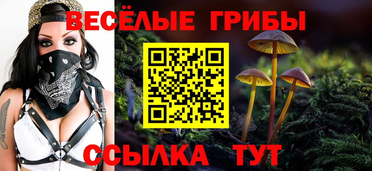 Галлюциногенные грибы мухоморы Камышин