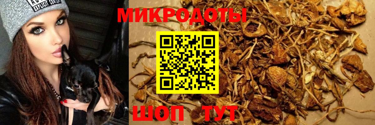 Галлюциногенные грибы Magic Shrooms  Псилоцибиновые грибы мухоморы  Вход с VPN  Камышин 