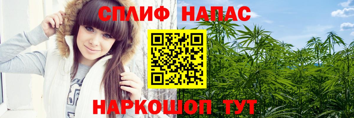 Бошки Шишки индика  Вход с VPN  Конопля Bruce Banner  Конопля гибрид  Камышин 